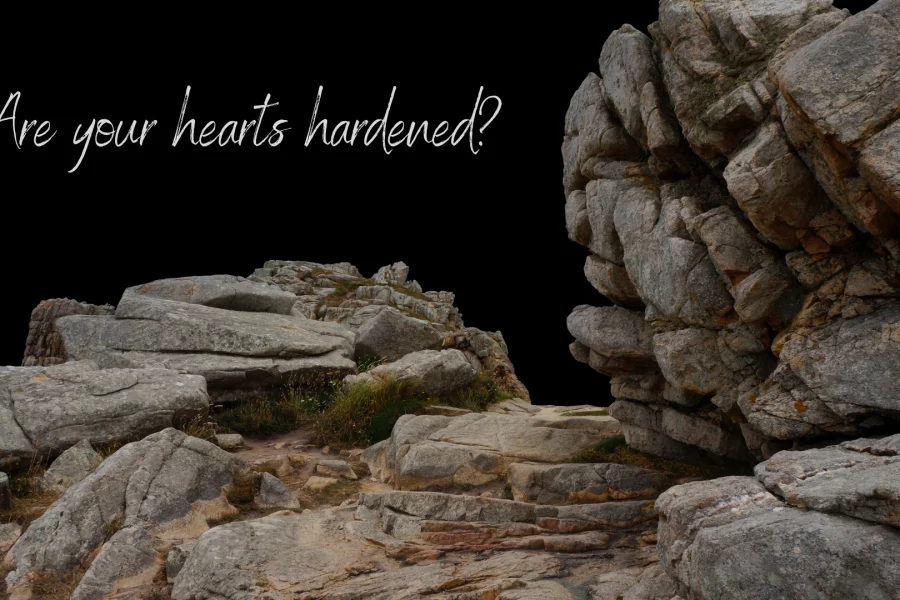 hardened_hearts