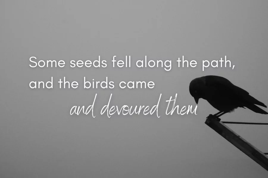 parable_of_the_sower_2
