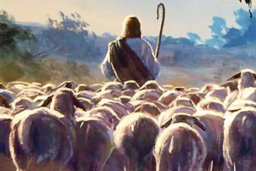 sheep_following_their_shepherd